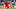 Marc Wilmots Marc Wilmots