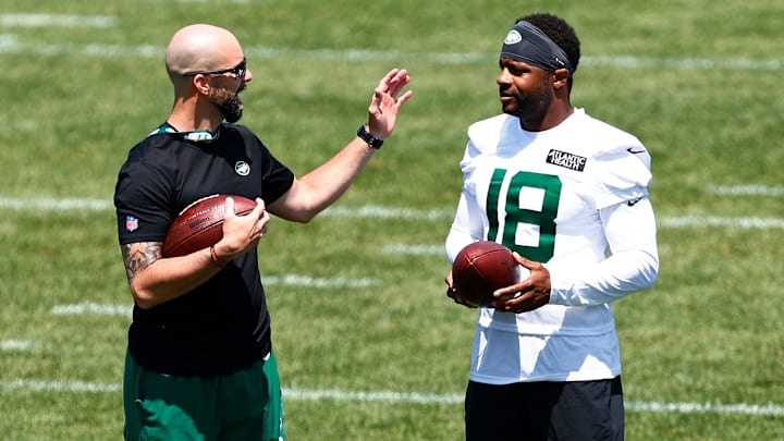 Zach Azzanni, Randall Cobb
