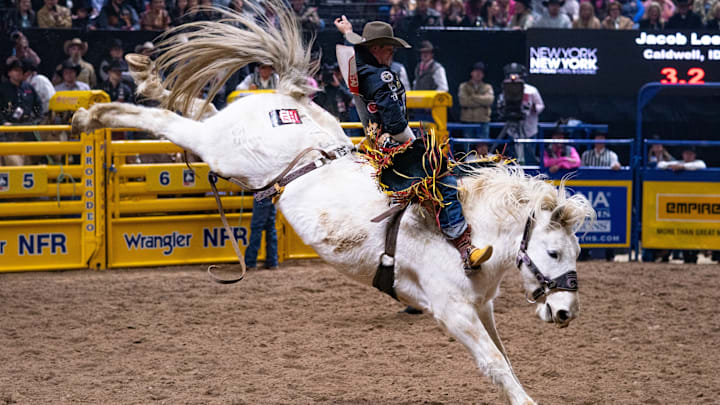 Jacob Lees Jacob Lees