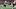 Chicago Bears tight end Colston Loveland.