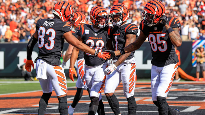 Atlanta Falcons v Cincinnati Bengals