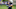 Charlie Kolar, Baltimore Ravens Charlie Kolar, Baltimore Ravens
