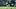 DeVonta Smith DeVonta Smith