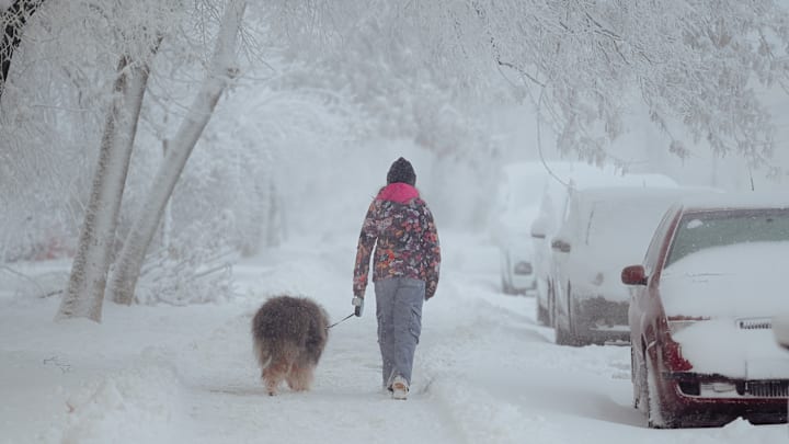 Industrial snowfall caused by the cooling towers of a nearby steel factory blankets Kosice