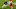 NFL