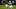 Chicago Bears defensive back Kyler Gordon.