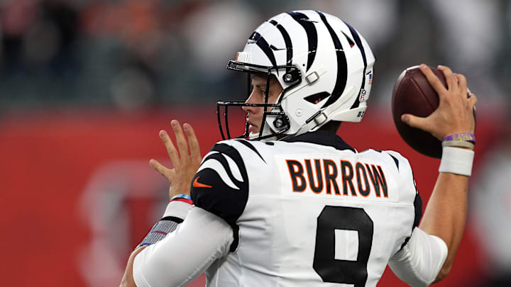 Miami Dolphins v Cincinnati Bengals
