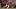 Oklahoma Sooners quarterback John Mateer (10) carries the ball during a first-round College Football Playoff game. Oklahoma Sooners quarterback John Mateer (10) carries the ball during a first-round College Football Playoff game.