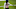 tremaine edmunds, chicago bears tremaine edmunds, chicago bears