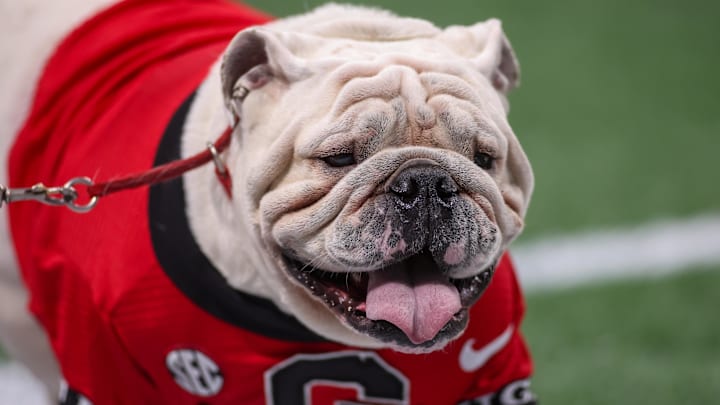 Nov 28, 2025; Atlanta, Georgia, USA; Georgia Bulldogs mascot Uga on the field before a game against the Georgia Tech Yellow Jackets at Mercedes-Benz Stadium. Mandatory Credit: Brett Davis-Imagn Images

