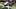 Chicago Bears wide receiver Rome Odunze. Chicago Bears wide receiver Rome Odunze.