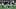 Aug 13, 2026; Houston, Texas, USA;  Houston Texans punter Kai Kroeger (38) punts the ball during the game against the Los Ang