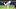 Milwaukee Brewers starting pitcher Brandon Woodruff Milwaukee Brewers starting pitcher Brandon Woodruff