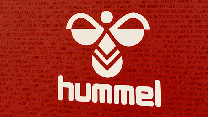 hummel's bumblebee is becoming increasingly prominent once more