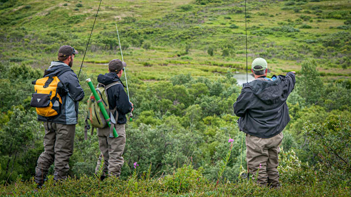 "We just have to make our way through this bear-infested brush." 