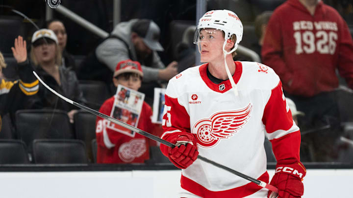 Jan 13, 2026; Boston, Massachusetts, USA; Detroit Red Wings defenseman Jacob Bernard-Docker (25) skates during warm ups before a game against the Boston Bruins at TD Garden. Mandatory Credit: Natalie Reid-Imagn Images