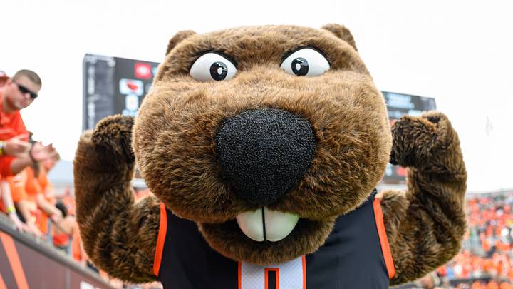 Sep 14, 2024; Corvallis, Oregon, USA; Oregon State Beavers mascot Benny flexes during the second half against the Oregon Ducks at Reser Stadium. Mandatory Credit: Craig Strobeck-Imagn Images Sep 14, 2024; Corvallis, Oregon, USA; Oregon State Beavers mascot Benny flexes during the second half against the Oregon Ducks at Reser Stadium. Mandatory Credit: Craig Strobeck-Imagn Images