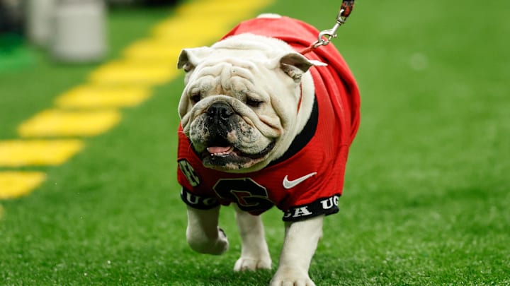 Jan 1, 2026; New Orleans, LA, USA; Georgia Bulldogs mascot Uga walks the sideline in the first half during the 2026 Sugar Bowl and quarterfinal game of the College Football Playoff against the Mississippi Rebels at Caesars Superdome. Mandatory Credit: Geoff Burke-Imagn Images