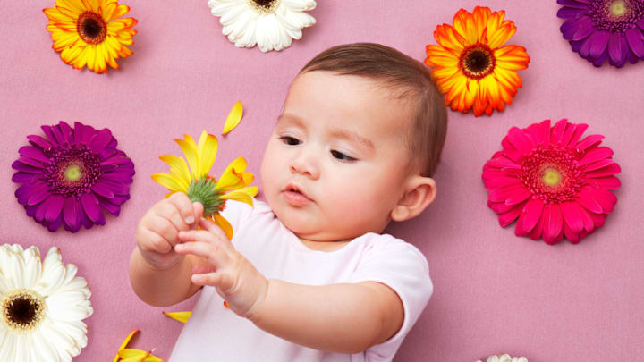 She could definitely be a Rose or Lily.
