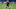 Marco Verratti Marco Verratti