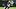 Dallas Cowboys cornerback DaRon Bland (26) tackles Las Vegas Raiders tight end Brock Bowers 