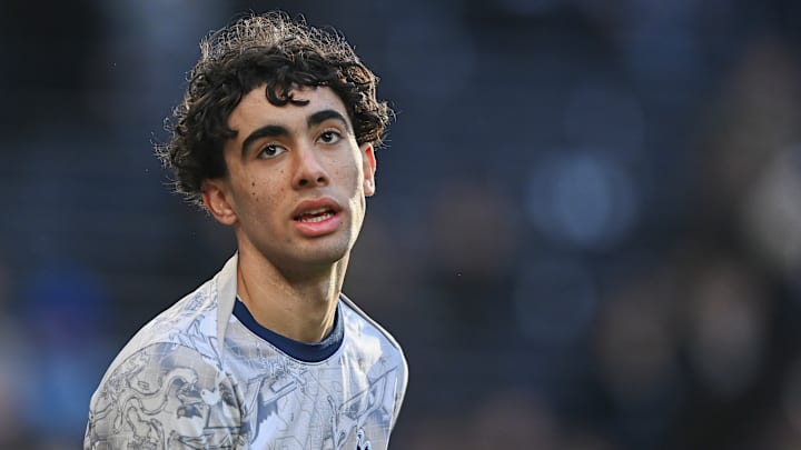 Tottenham have an exciting crop of youngsters at their disposal.