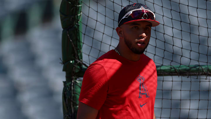Tampa Bay Rays v Los Angeles Angels