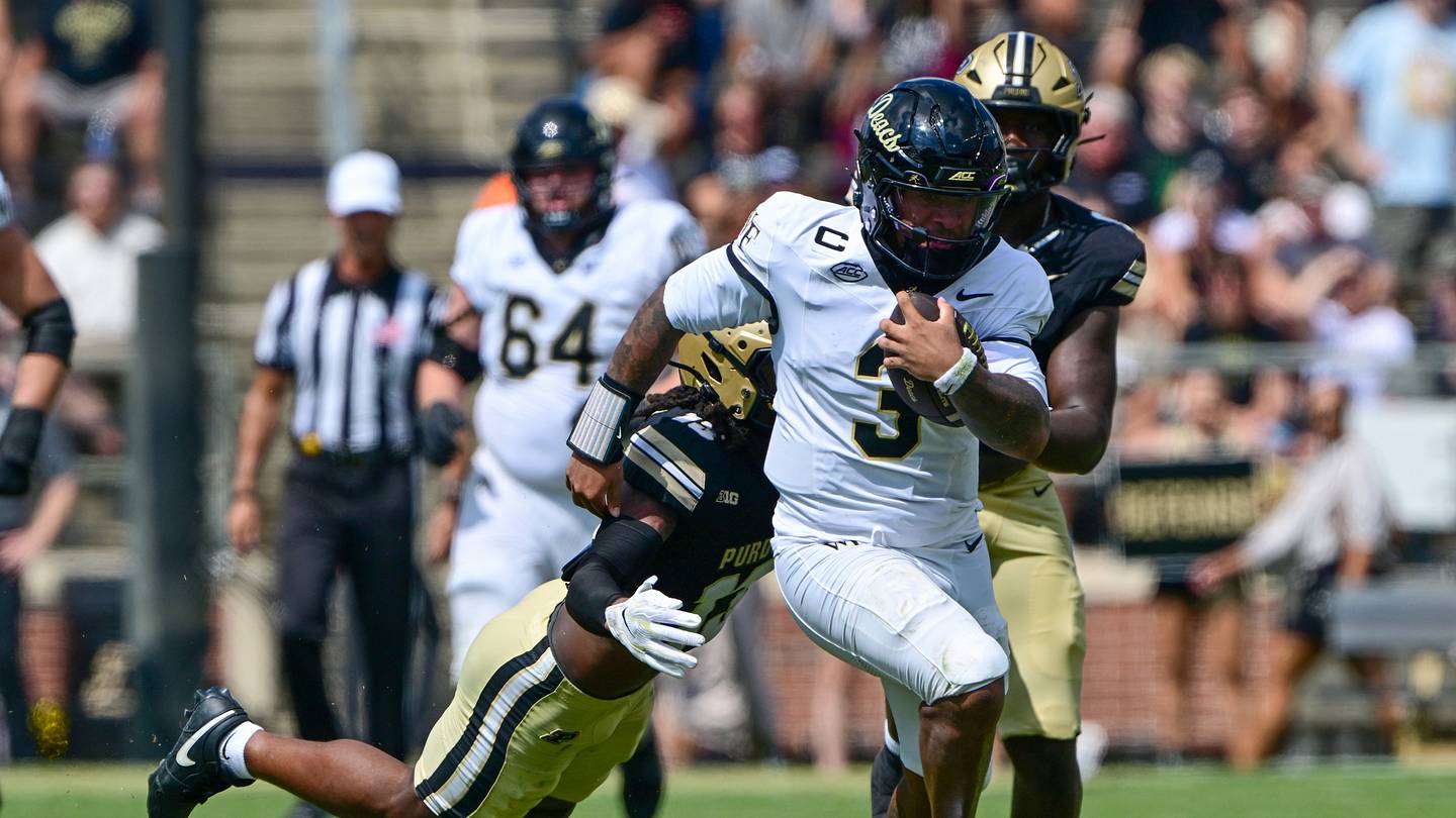 Wake Forest Underdogs