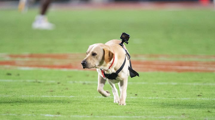 LSU v Ole Miss