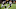 Chicago bears, Demarquis Gates Chicago bears, Demarquis Gates