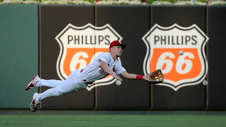 Houston Astros v St. Louis Cardinals