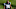 Carolina Panthers Carolina Panthers