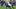 Pittsburgh Panthers defensive back Josh Guerrier Pittsburgh Panthers defensive back Josh Guerrier