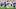 Houston Texans running back David Montgomery fantasy football Houston Texans running back David Montgomery fantasy football