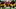 Southern Miss Football, Landry Lyddy Southern Miss Football, Landry Lyddy