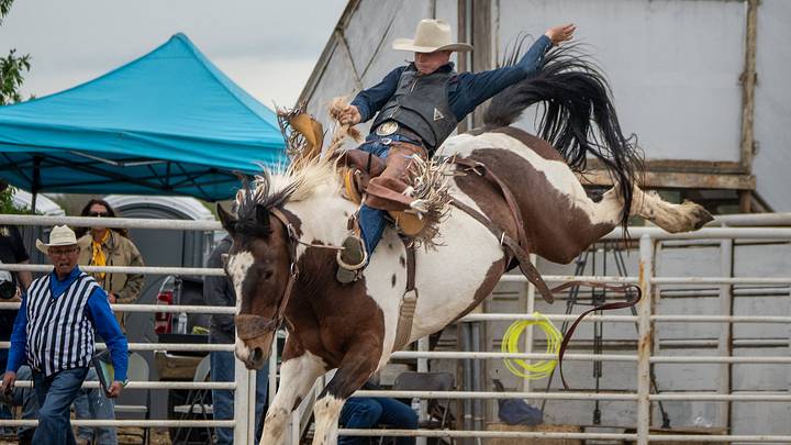 Bailey Small captured the California Circuit Finals saddle bronc average title go earn more than $8,800 towards the 2027 season. Bailey Small captured the California Circuit Finals saddle bronc average title go earn more than $8,800 towards the 2027 season.