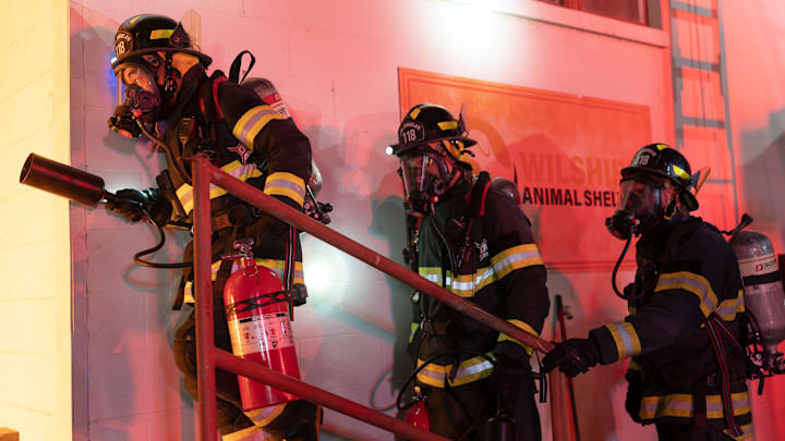 9-1-1 - ÒSob StoriesÓ - The 118 responds to a fire at a local animal shelter and races to evacuate all the animals. Meanwhile, Maddie takes a 9-1-1 call that sets her on a quest for answers. THURSDAY, MARCH 6 (8:00-9:00 p.m. EST), on ABC. (Disney/Christopher Willard)
9-1-1