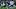 Carolina Panthers quarterback Bryce Young (9) rushes the ball against Los Angeles Rams linebacker Nate Landman Carolina Panthers quarterback Bryce Young (9) rushes the ball against Los Angeles Rams linebacker Nate Landman