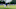 Rory McIlroy prepares for a shot at the PGA Championship.