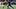 Savion Williams, Green Bay Packers, 2026 Fantasy Football