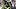 Pittsburgh Steelers linebacker T.J. Watt Pittsburgh Steelers linebacker T.J. Watt