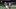 New England Patriots wide receiver Kayshon Boutte New England Patriots wide receiver Kayshon Boutte