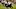 josh ross, Baltimore Ravens josh ross, Baltimore Ravens