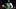 Boston Celtics guard Jaylen Brown Boston Celtics guard Jaylen Brown