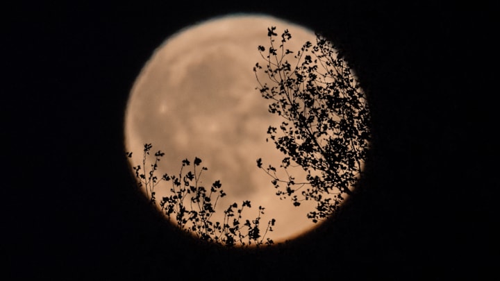 According to one famous hoax, that moon is full of unicorns.
