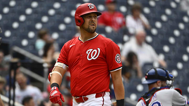 Jun 8, 2025; Washington, District of Columbia, USA; Washington Nationals first baseman Nathaniel Lowe (33) reacts after striking out against the Texas Rangers during the second inning at Nationals Park. 