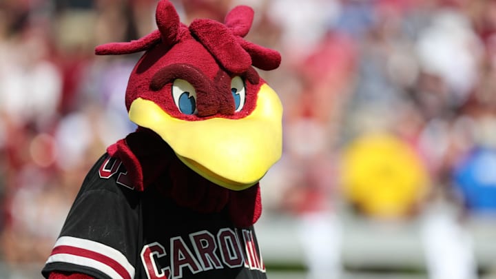 South Carolina football mascot Cocky