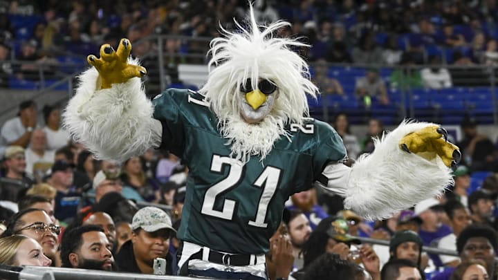 An Eagles fan during a preseason game against the Ravens.
