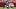 Ted Hurst III could emerge as a primary receiving option for the Tampa Bay Buccaneers' offense. Ted Hurst III could emerge as a primary receiving option for the Tampa Bay Buccaneers' offense.