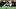 DaSaahn Bram DaSaahn Bram